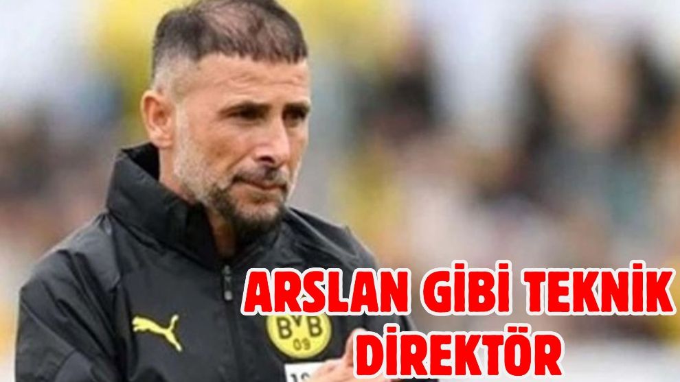 Arslan Gibi Teknik Direktör