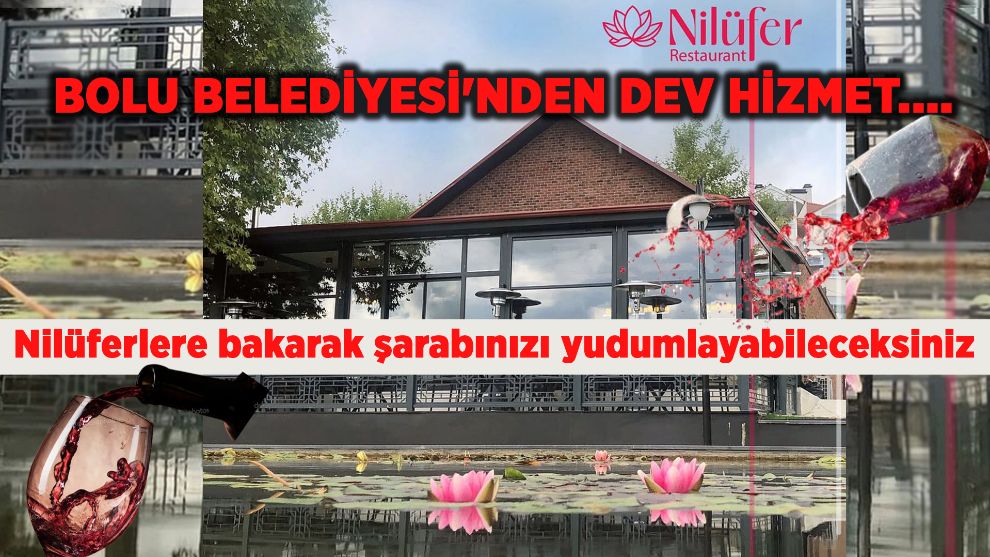 BOLU BELEDİYESİ'NDEN DEV HİZMET.... Nilüferlere bakarak şarabınızı yudumlayabileceksiniz