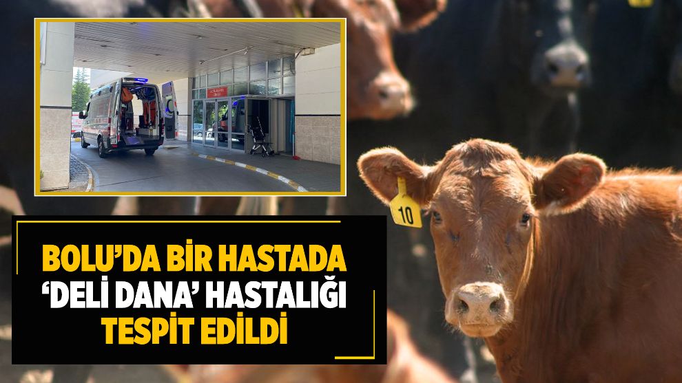 Bolu'da bir hastada ‘deli dana' hastalığı tespit edildi