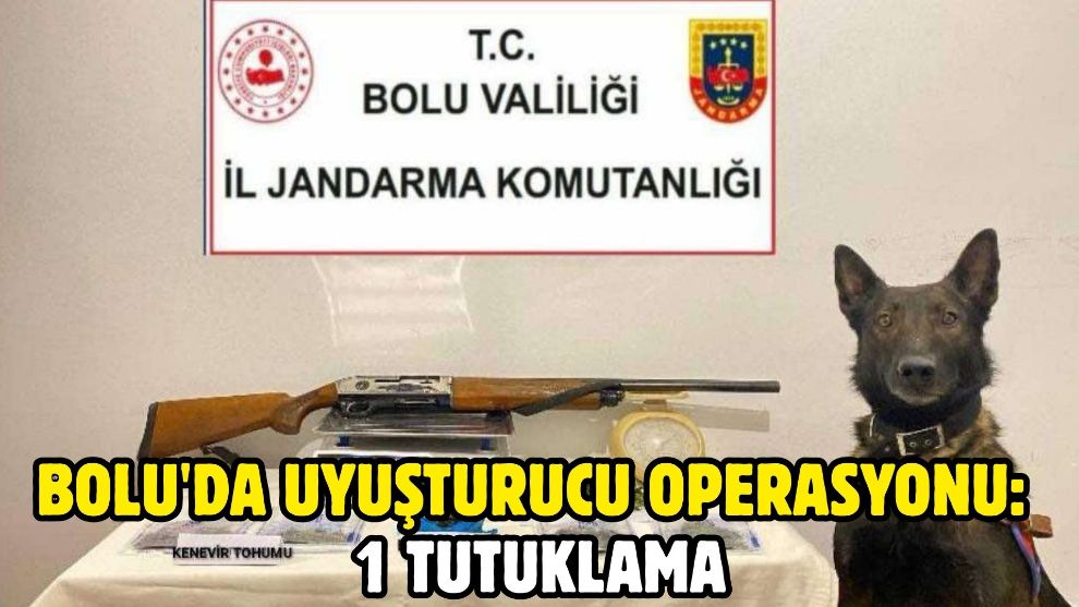 Bolu'da uyuşturucu operasyonu: 1 tutuklama