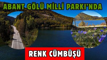 Abant Gölü Milli Parkı'nda renk cümbüşü
