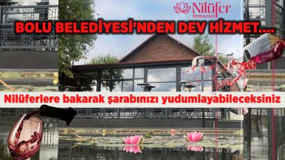 BOLU BELEDİYESİ'NDEN DEV HİZMET.... Nilüferlere bakarak şarabınızı yudumlayabileceksiniz