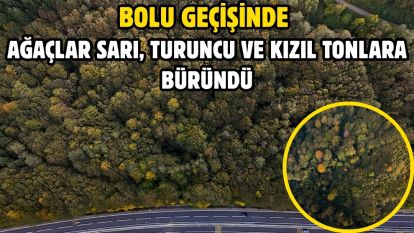 Bolu geçişinde ağaçlar sarı, turuncu ve kızıl tonlara büründü