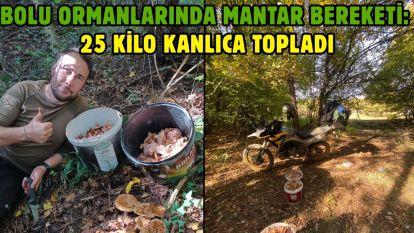 Bolu ormanlarında mantar bereketi: 25 kilo kanlıca topladı