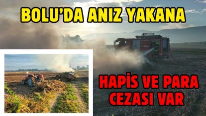 Bolu'da anız yakana hapis ve para cezası var
