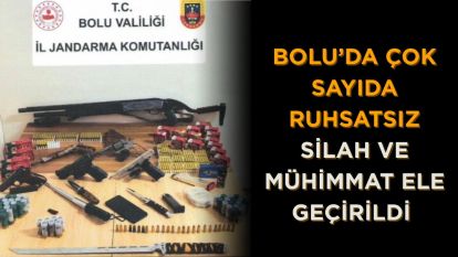 Bolu'da çok sayıda ruhsatsız silah ve mühimmat ele geçirildi