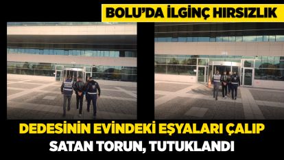 Bolu'da dedesinin evindeki eşyaları çalıp satan torun, tutuklandı
