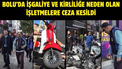 Bolu'da işgaliye ve kirliliğe neden olan işletmelere ceza kesildi