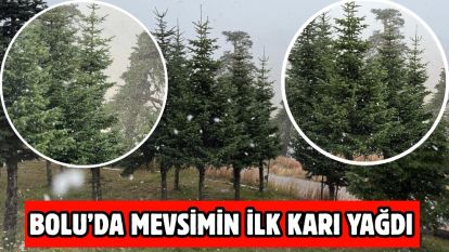 Bolu'da mevsimin ilk karı yağdı