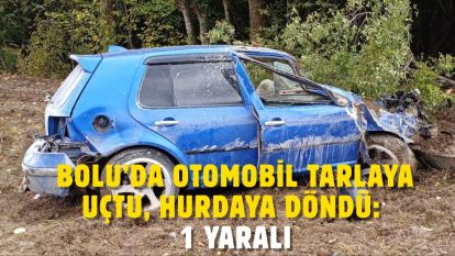 Bolu'da otomobil tarlaya uçtu, hurdaya döndü: 1 yaralı