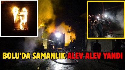 Bolu'da samanlık alev alev yandı
