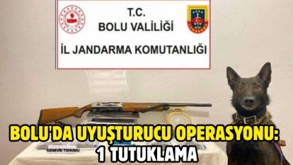 Bolu'da uyuşturucu operasyonu: 1 tutuklama