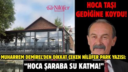 Hoca taşı gediğine koydu! Muharrem Demirel'den dikkat çeken Nilüfer Park yazısı: “Hoca şaraba su katma!”