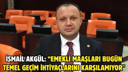 İsmail Akgül: “Emekli maaşları bugün temel geçim ihtiyaçlarını karşılamıyor"