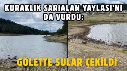 Kuraklık Sarıalan Yaylası'nı da vurdu: Gölette sular çekildi