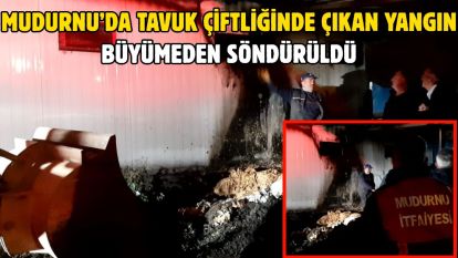 Mudurnu'da tavuk çiftliğinde çıkan yangın büyümeden söndürüldü