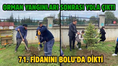 Orman yangınları sonrası yola çıktı, 71. fidanını Bolu'da dikti