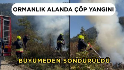 Ormanlık alanda çöp yangını büyümeden söndürüldü