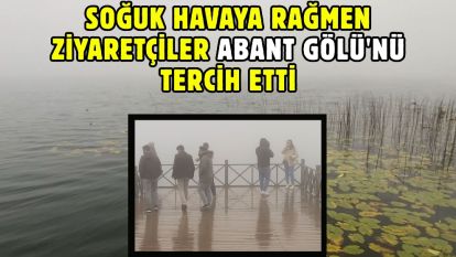 Soğuk havaya rağmen ziyaretçiler Abant Gölü'nü tercih etti