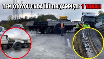 TEM Otoyolu'nda iki tır çarpıştı: 1 yaralı