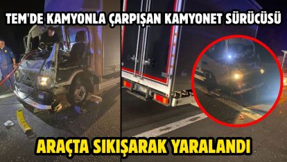 TEM'de kamyonla çarpışan kamyonet sürücüsü araçta sıkışarak yaralandı