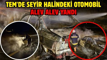 TEM'de seyir halindeki otomobil alev alev yandı