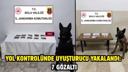 Yol kontrolünde uyuşturucu yakalandı: 7 gözaltı