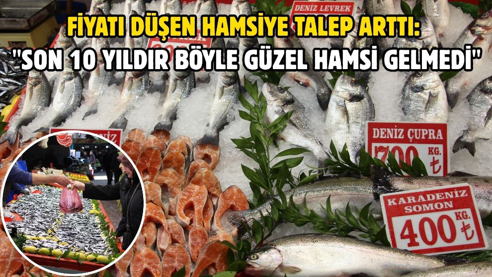 Fiyatı düşen hamsiye talep arttı: "Son 10 yıldır böyle güzel hamsi gelmedi"