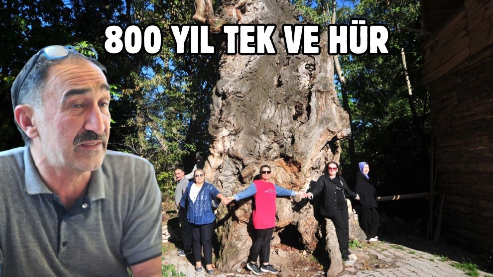 800 YIL TEK VE HÜR