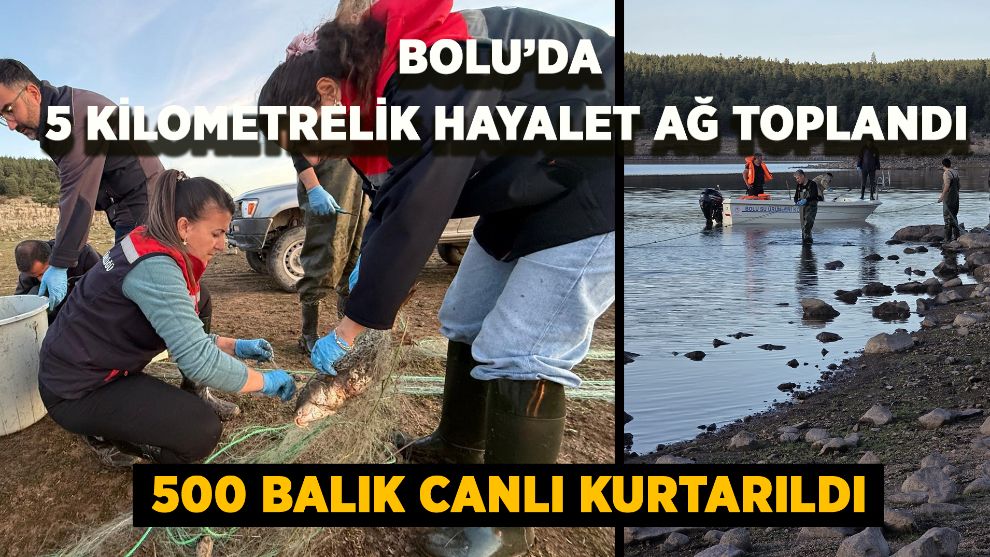 Bolu’da 5 kilometrelik hayalet ağ toplandı: 500 balık canlı kurtarıldı