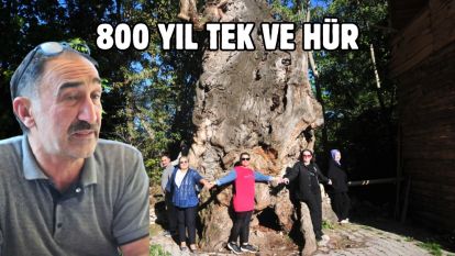 800 YIL TEK VE HÜR