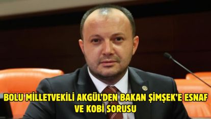 Bolu Milletvekili Akgül'den Bakan Şimşek'e esnaf ve KOBİ sorusu