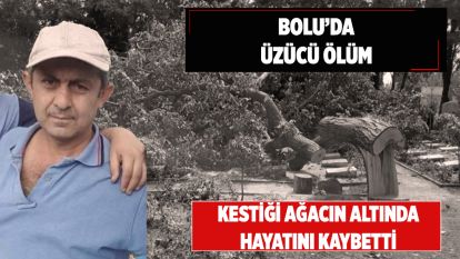 Bolu'da ağacın altında kalan vatandaş hayatını kaybetti