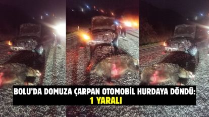 Bolu'da domuza çarpan otomobil hurdaya döndü: 1 yaralı