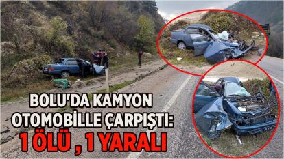 Bolu'da kamyon otomobille çarpıştı: 1 ölü, 1 yaralı