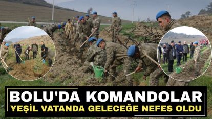 Bolu'da komandolar yeşil vatanda geleceğe nefes oldu