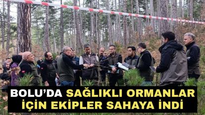 Bolu'da sağlıklı ormanlar için ekipler sahaya indi