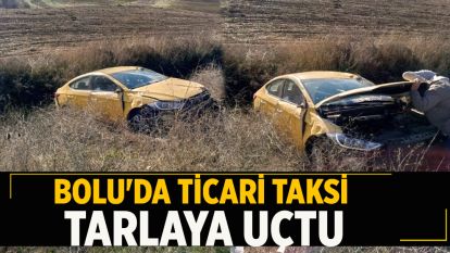 Bolu'da ticari taksi tarlaya uçtu