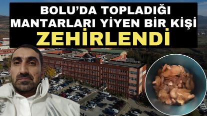 Bolu'da topladığı mantarları yiyen bir kişi zehirlendi