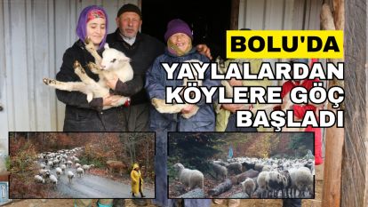 Bolu'da yaylalardan köylere göç başladı