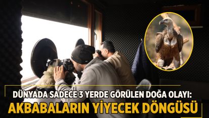 Dünyada sadece 3 yerde görülen doğa olayı: Akbabaların yiyecek döngüsü