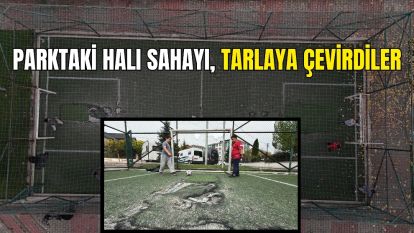 Parktaki halı sahayı, tarlaya çevirdiler