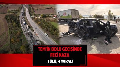 TEM'in Bolu geçişinde feci kaza: 1 ölü, 4 yaralı