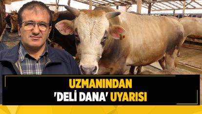 Uzmanından 'Deli dana' uyarısı