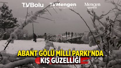 Abant Gölü Milli Parkı'nda kış güzelliği