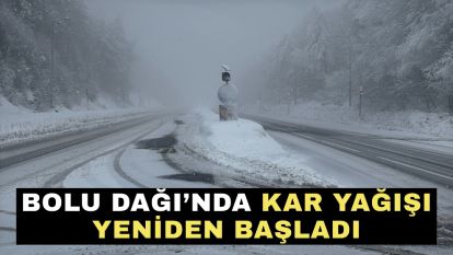 Bolu Dağı'nda kar yağışı yeniden başladı