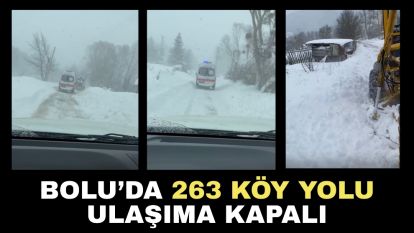 Bolu'da 263 köy yolu ulaşıma kapalı