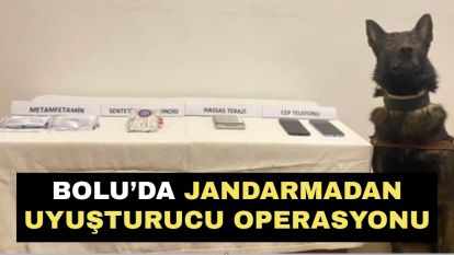 Bolu'da jandarmadan uyuşturucu operasyonu