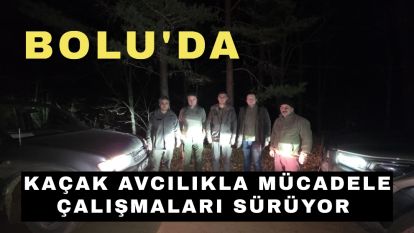 Bolu'da kaçak avcılıkla mücadele çalışmaları sürüyor