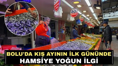 Bolu'da kış ayının ilk gününde hamsiye yoğun ilgi